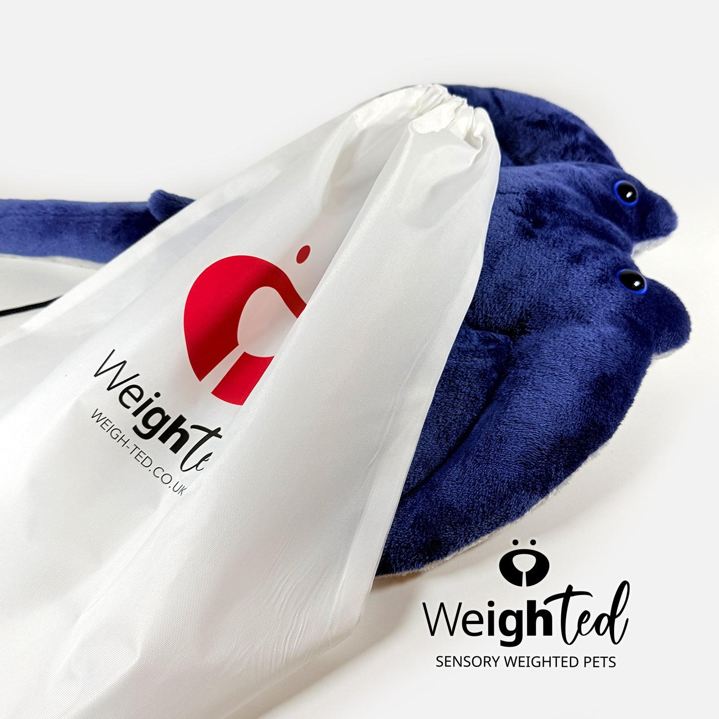 1.5kg Stingray 'Wyatt'