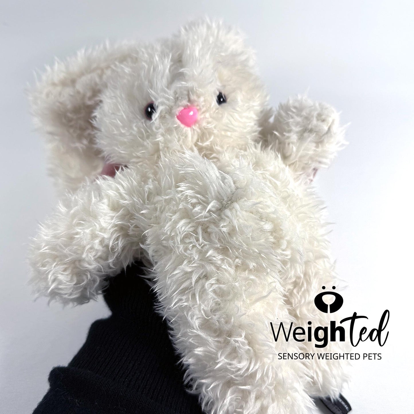 2.2kg Bunny Rabbit 'Ava' with Mini Pocket Heart