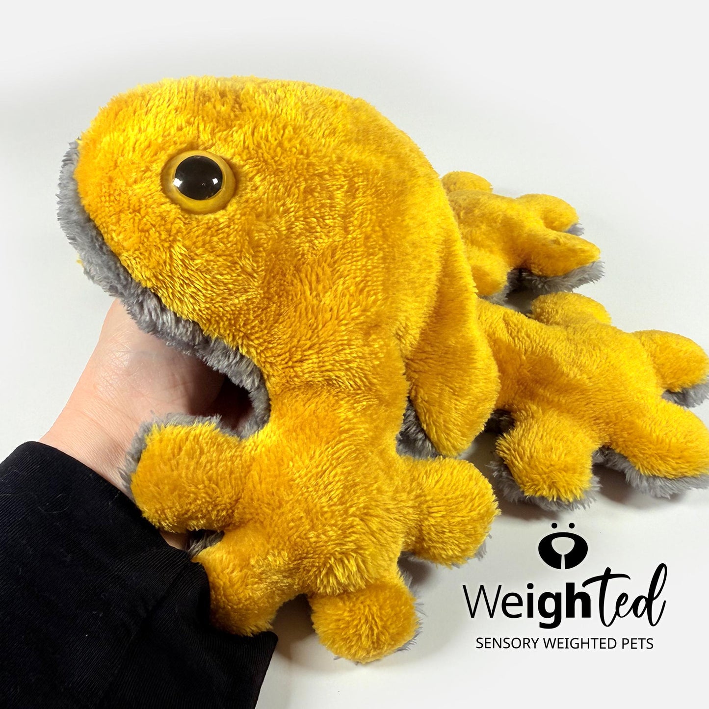 1kg Frog 'Goldie'