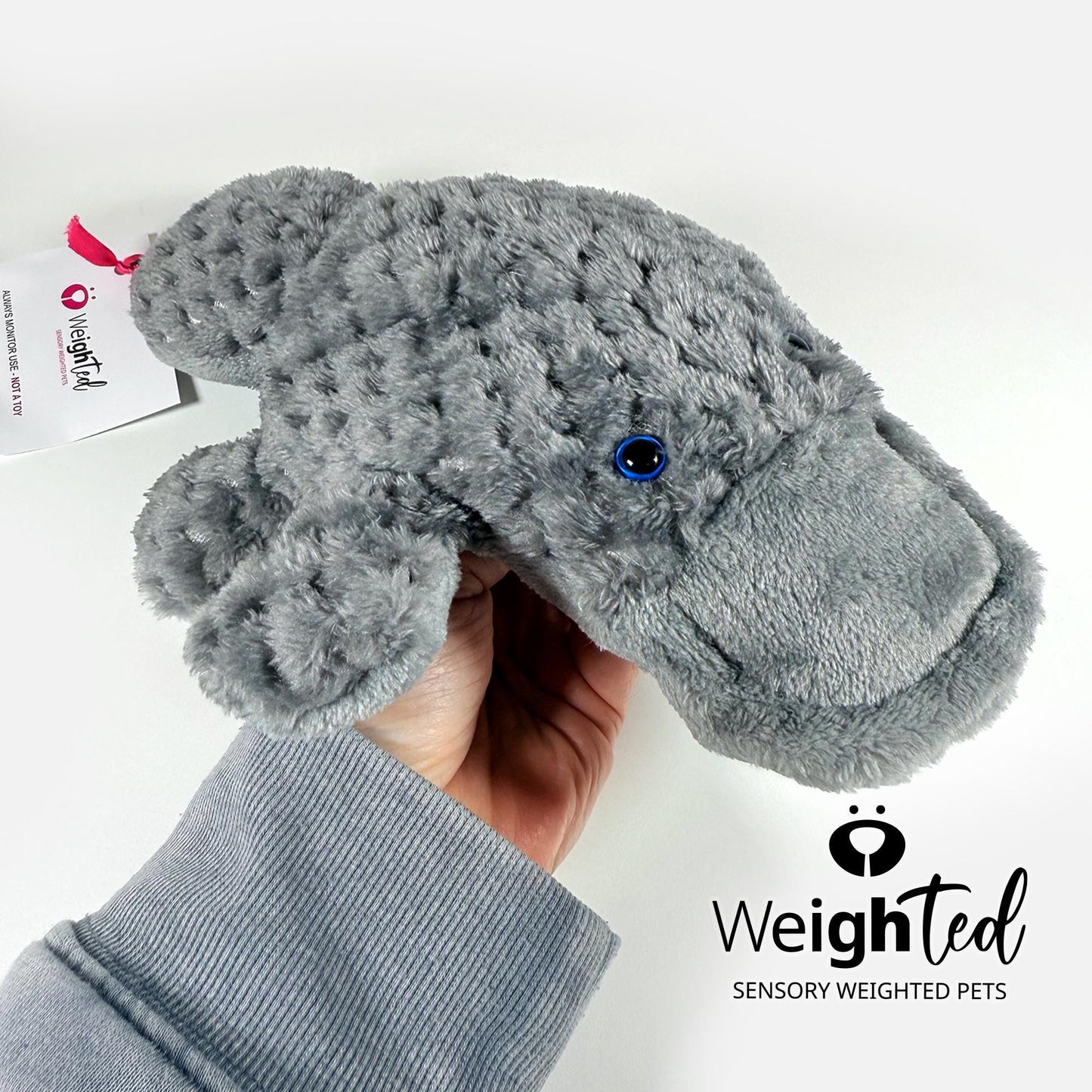 1kg Platypus 'Fitzwilliam'