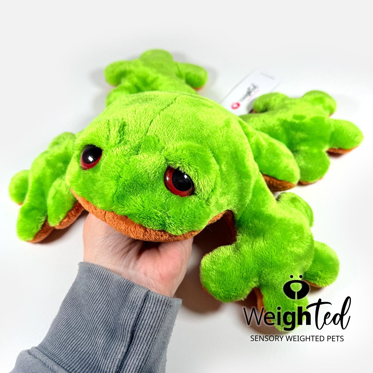 1kg Frog 'Willow'