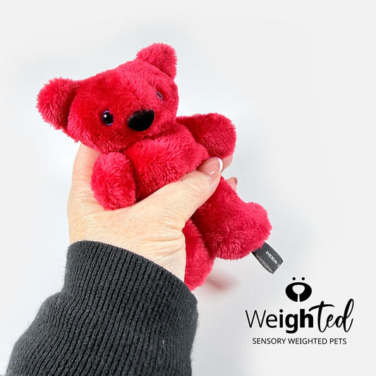 500g Pocket Teddy Bear 'Tom'
