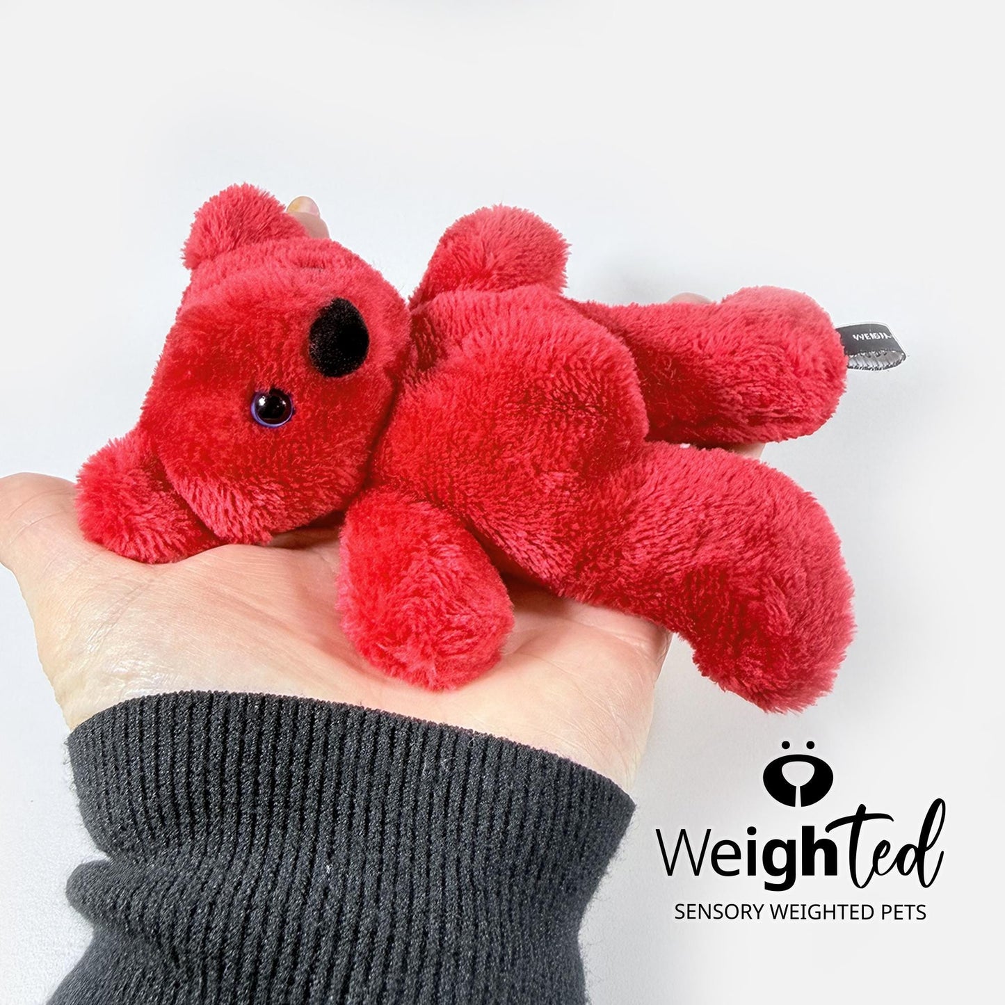 500g Pocket Teddy Bear 'Tom'