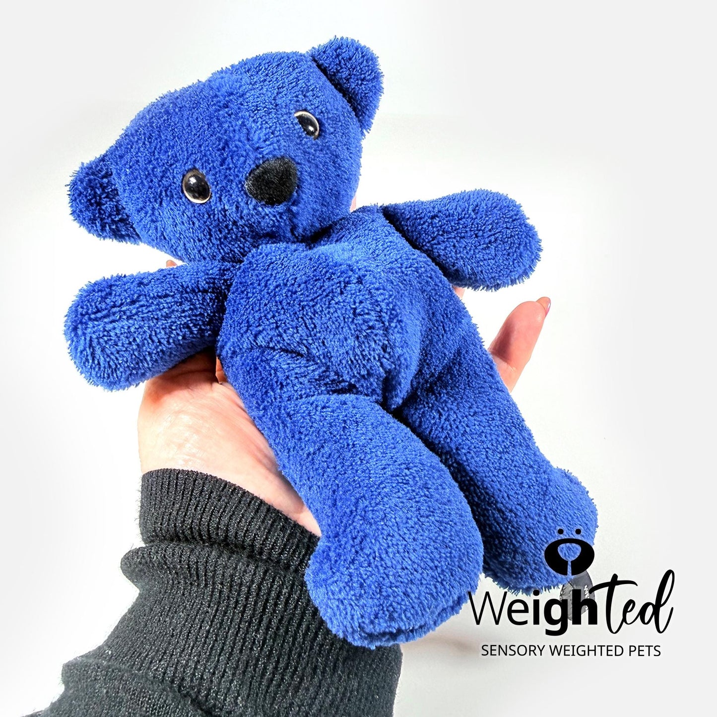 450g Teddy Bear 'Sapphire'