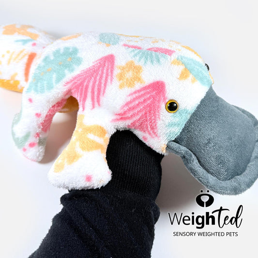 1.5kg Platypus 'Autumn'