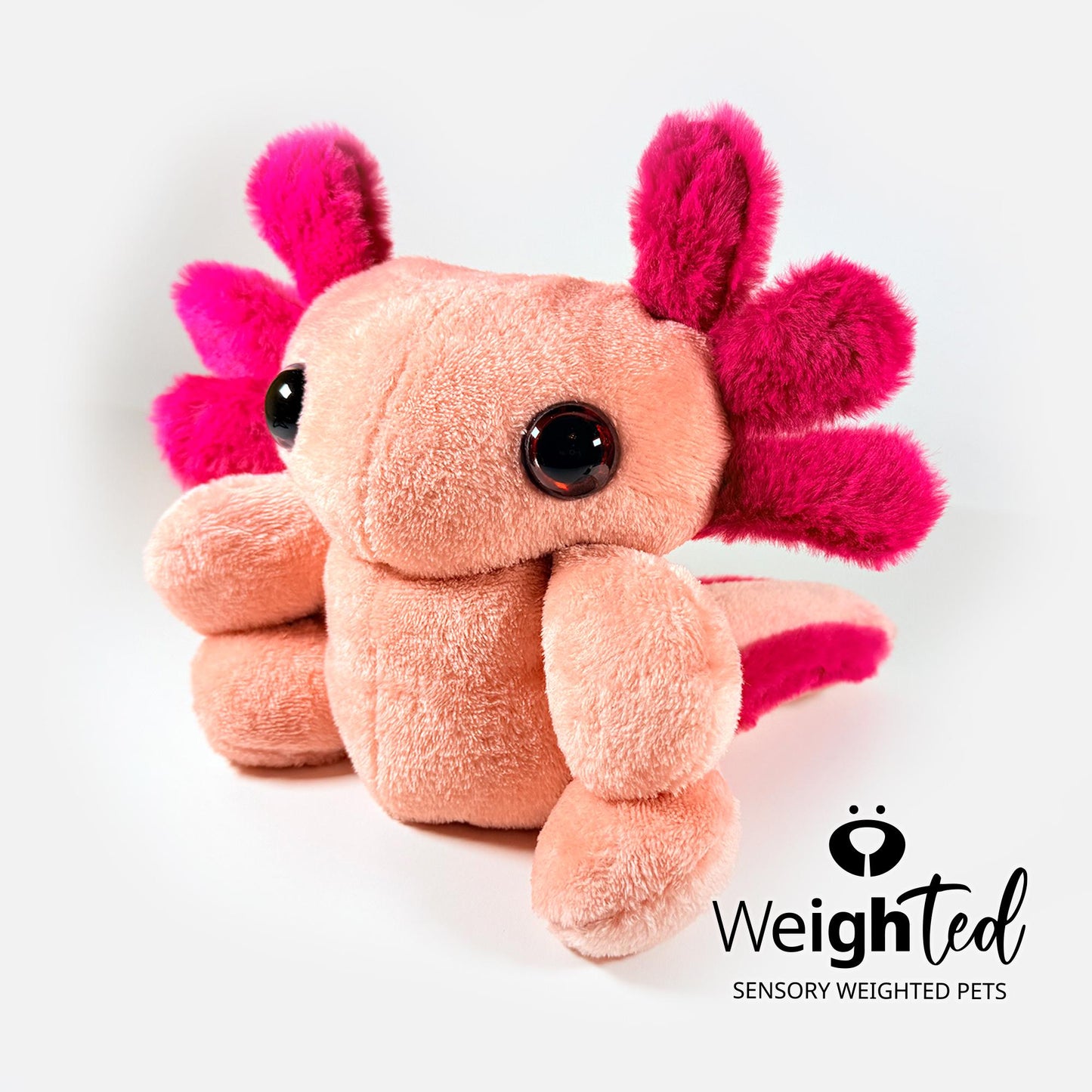 3kg Axolotl 'Lychee'