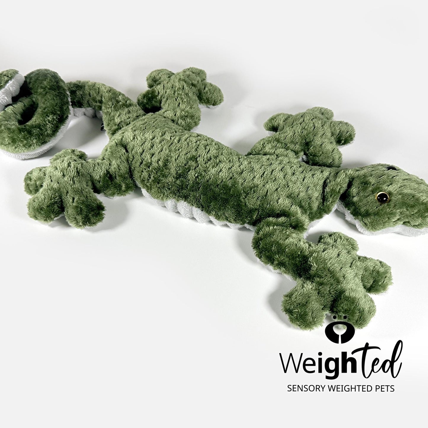 2.8kg Lizard 'Kiwi'
