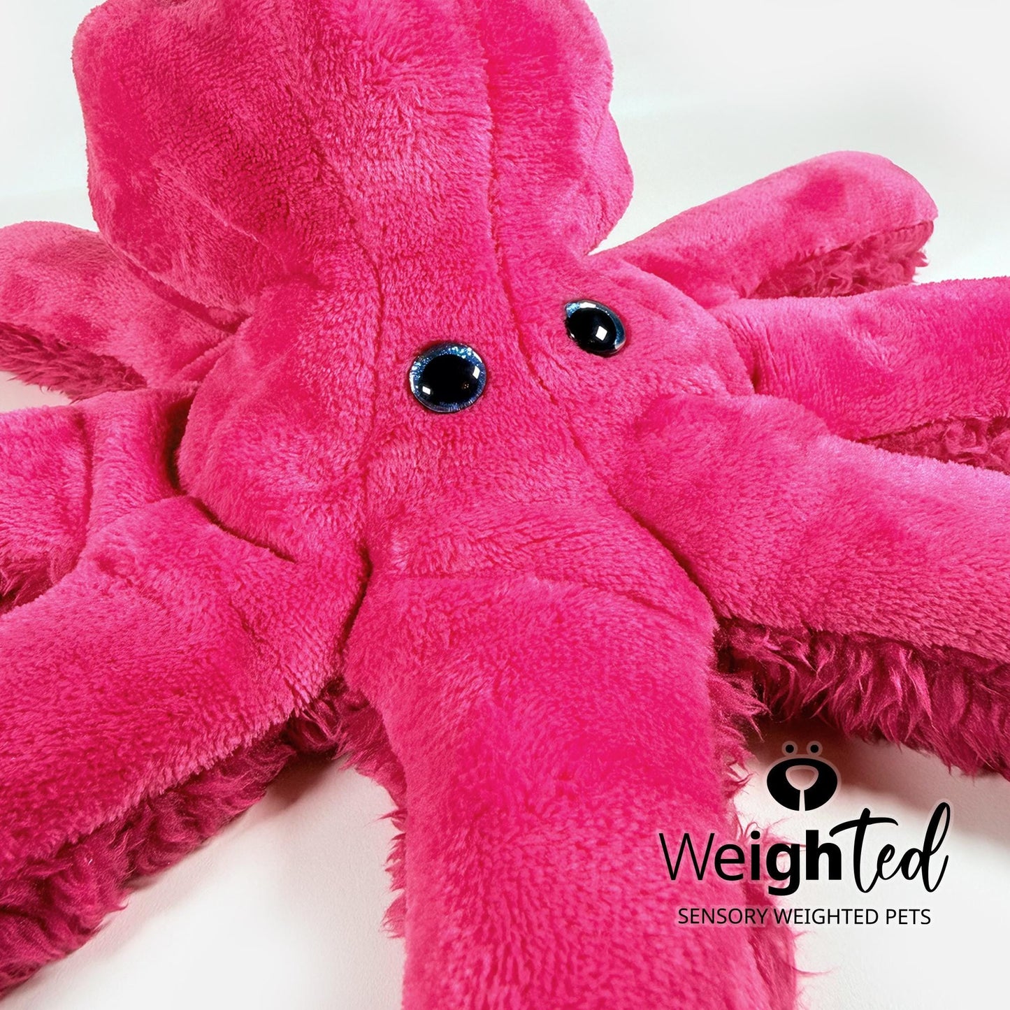 3kg Octopus 'Rogue'