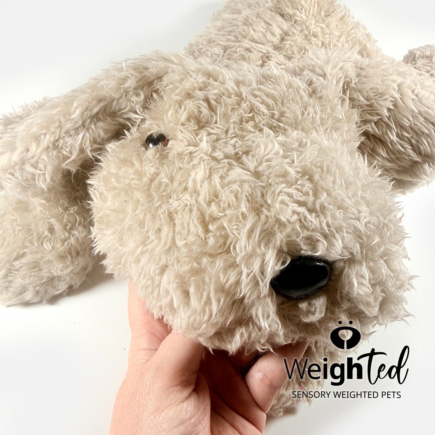 6.8kg Giant Puppy Dog 'Fudge'