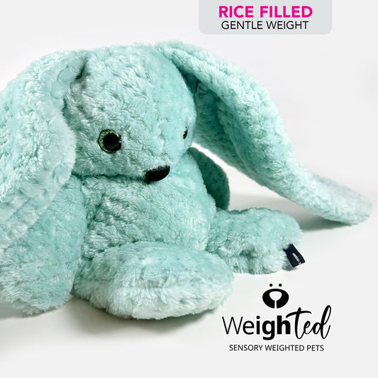 1kg Bunny Rabbit 'Clover'