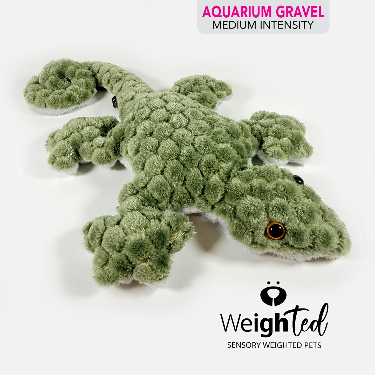 1kg Lizard 'Gary'