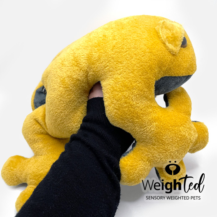 Weighted pet frog