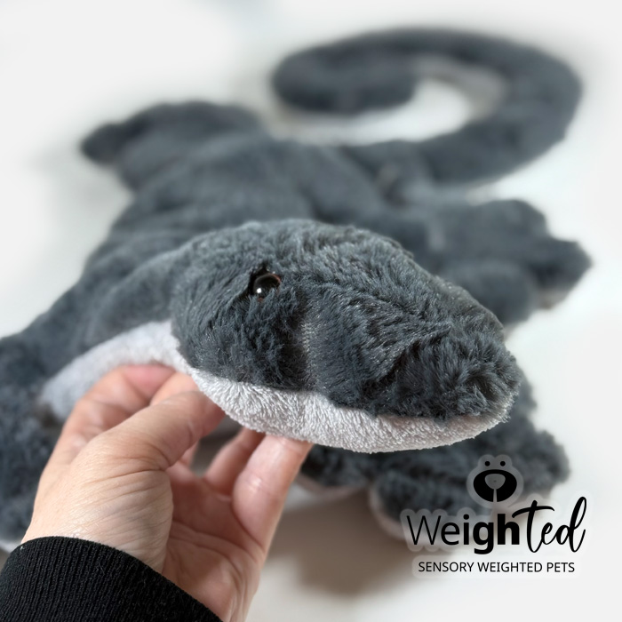 Weighted soft toy lizard