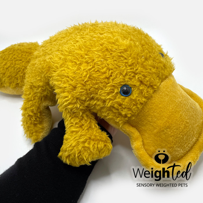 Weighted toy duckbilled platypus