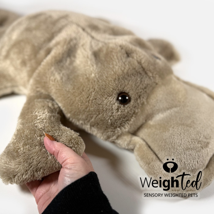 Weighted toy duckbilled platypus