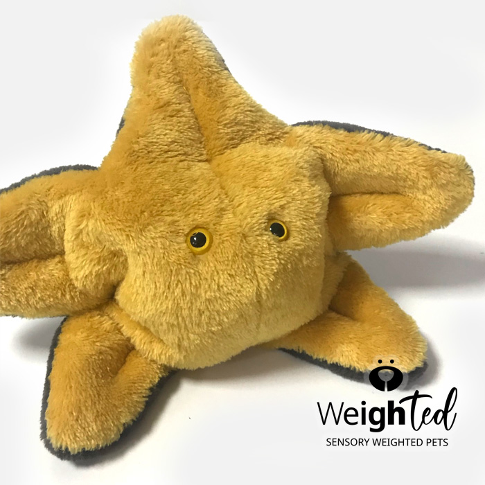 Weighted toy starfish