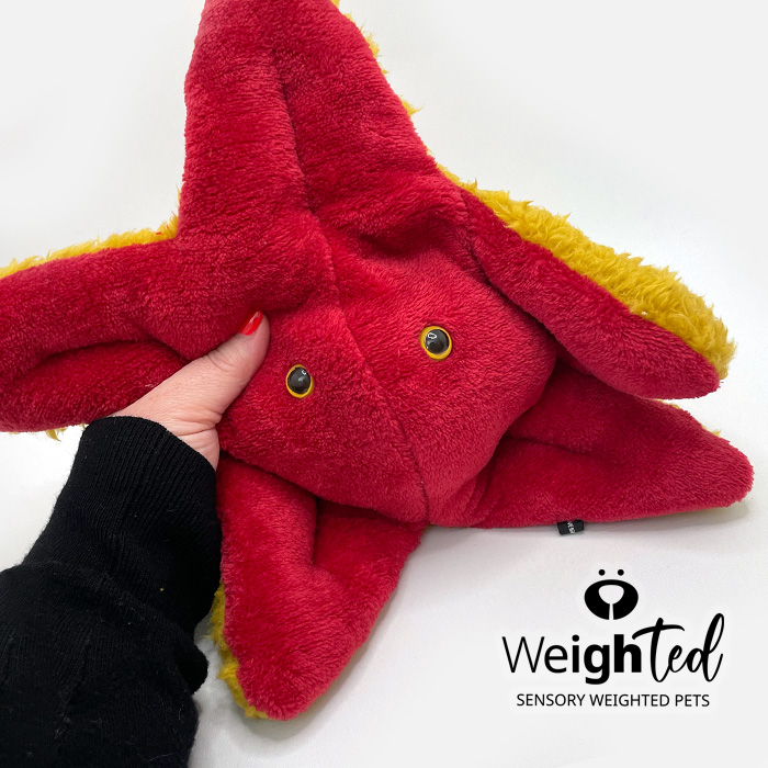 Weighted toy starfish