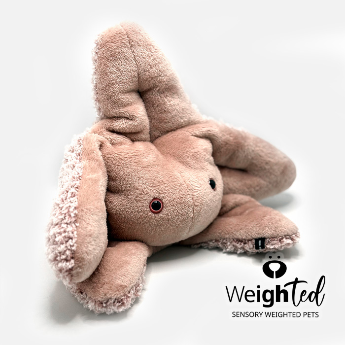 Weighted toy starfish