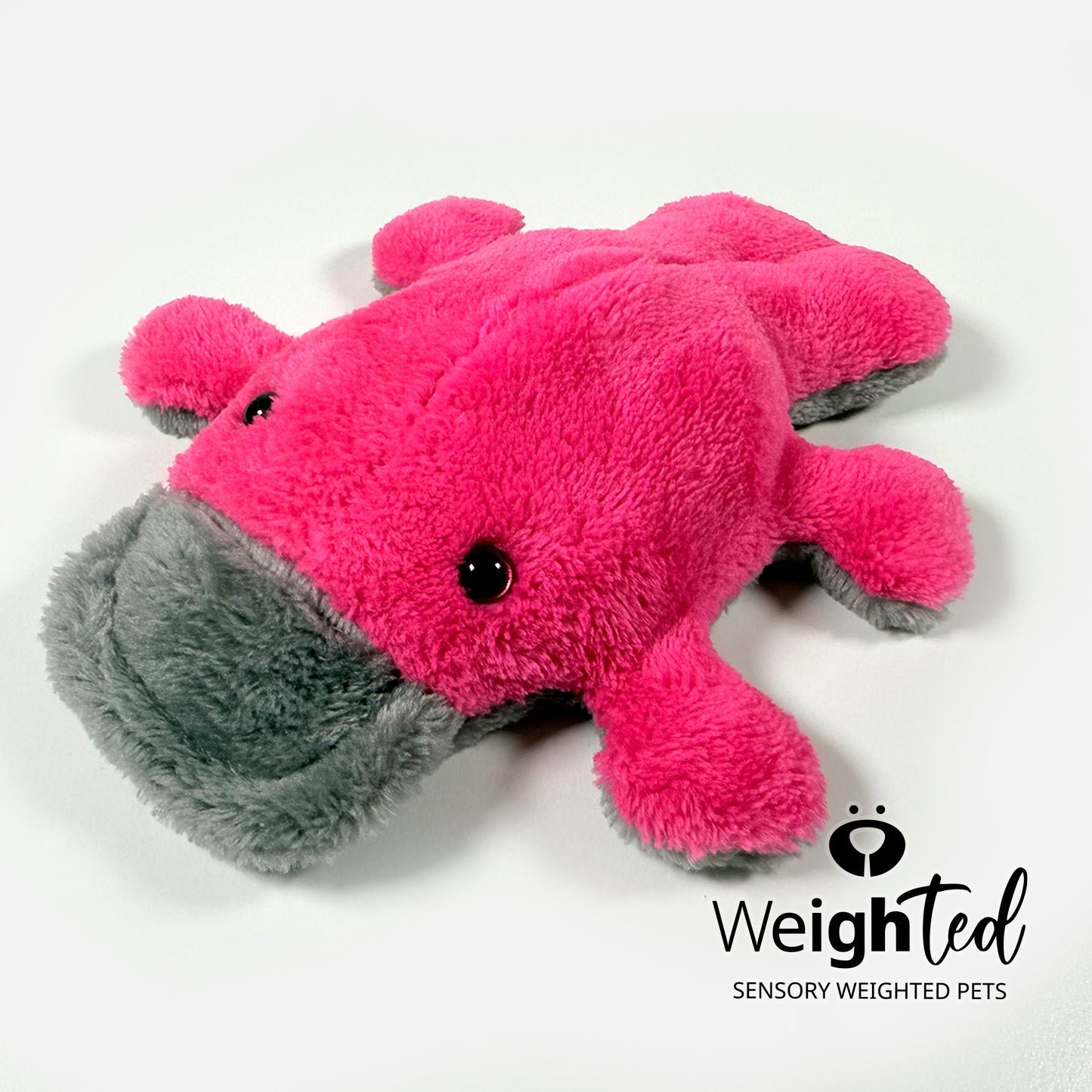 750g Pocket Platypus 'Bonnie'