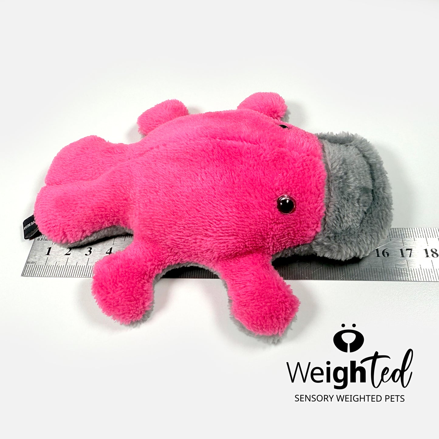 750g Pocket Platypus 'Bonnie'