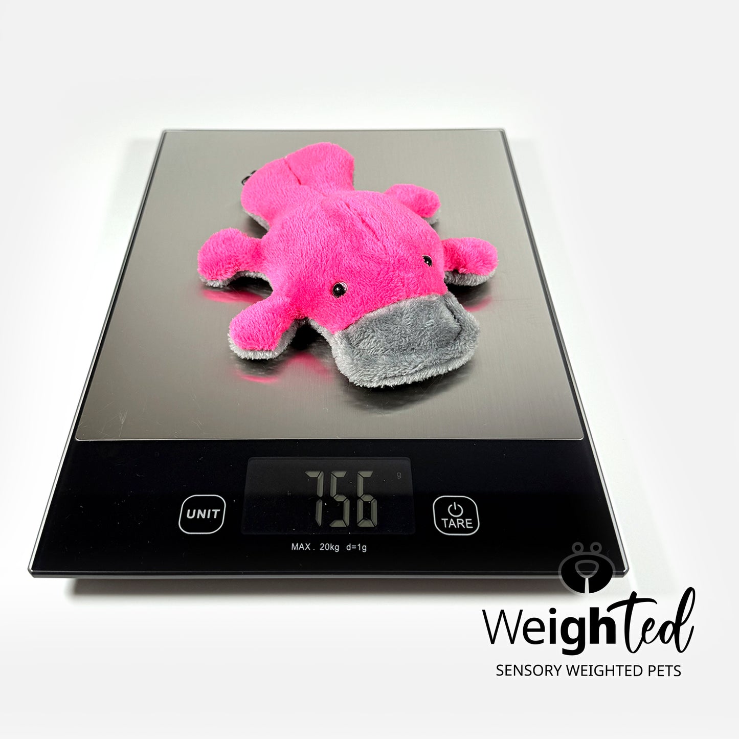 750g Pocket Platypus 'Bonnie'