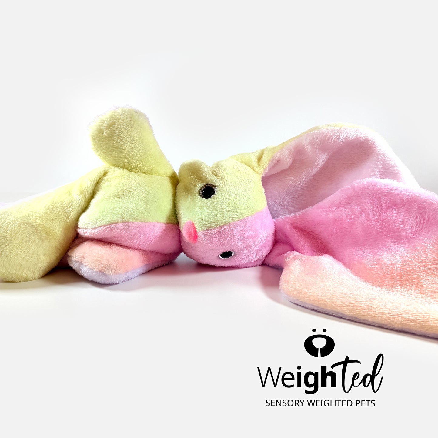 2kg Bunny Rabbit 'Floss'