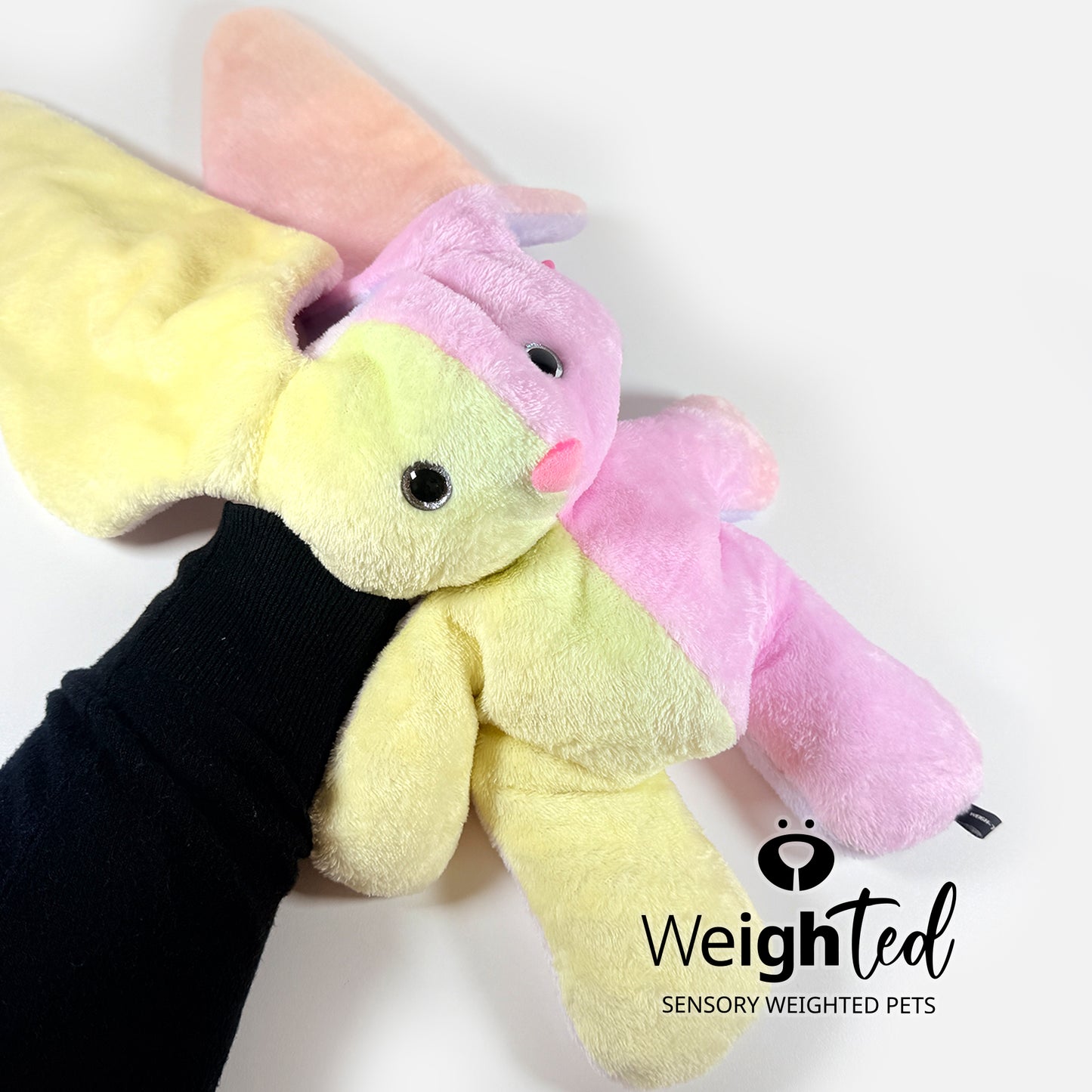 2kg Bunny Rabbit 'Floss'