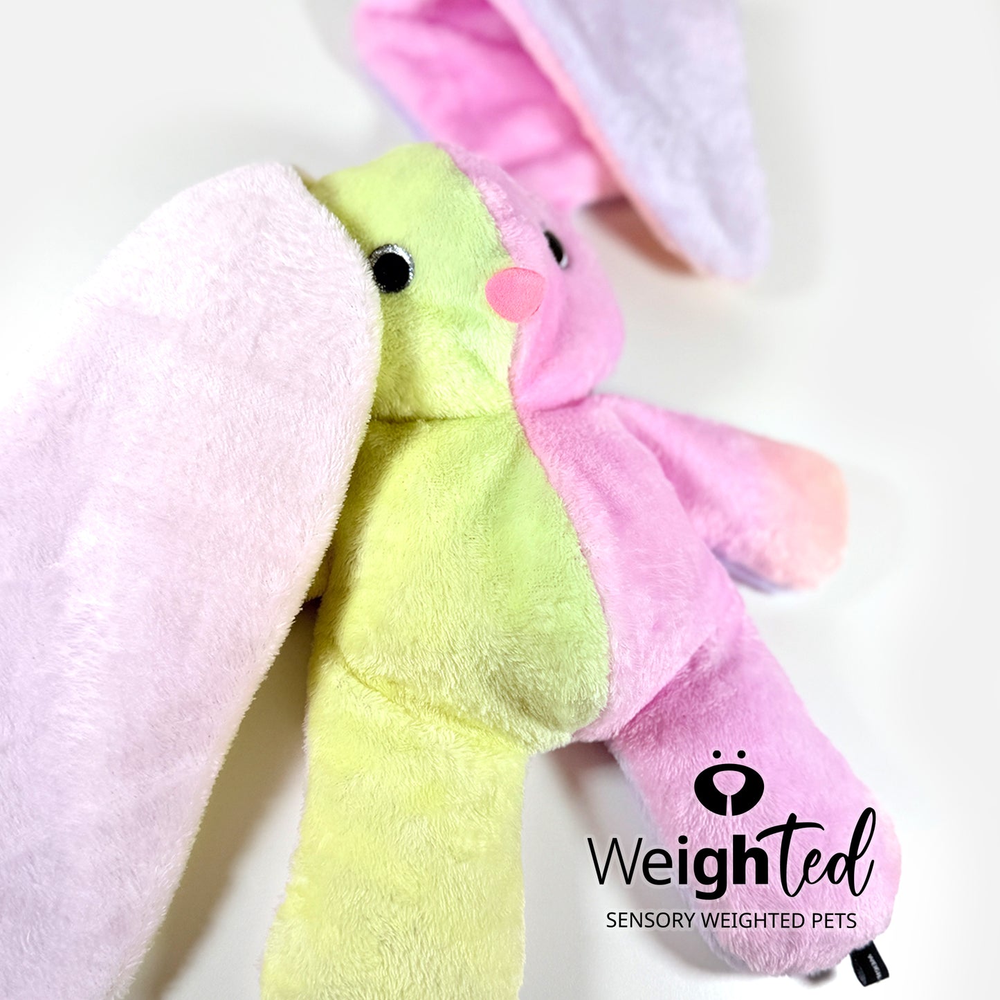 2kg Bunny Rabbit 'Floss'