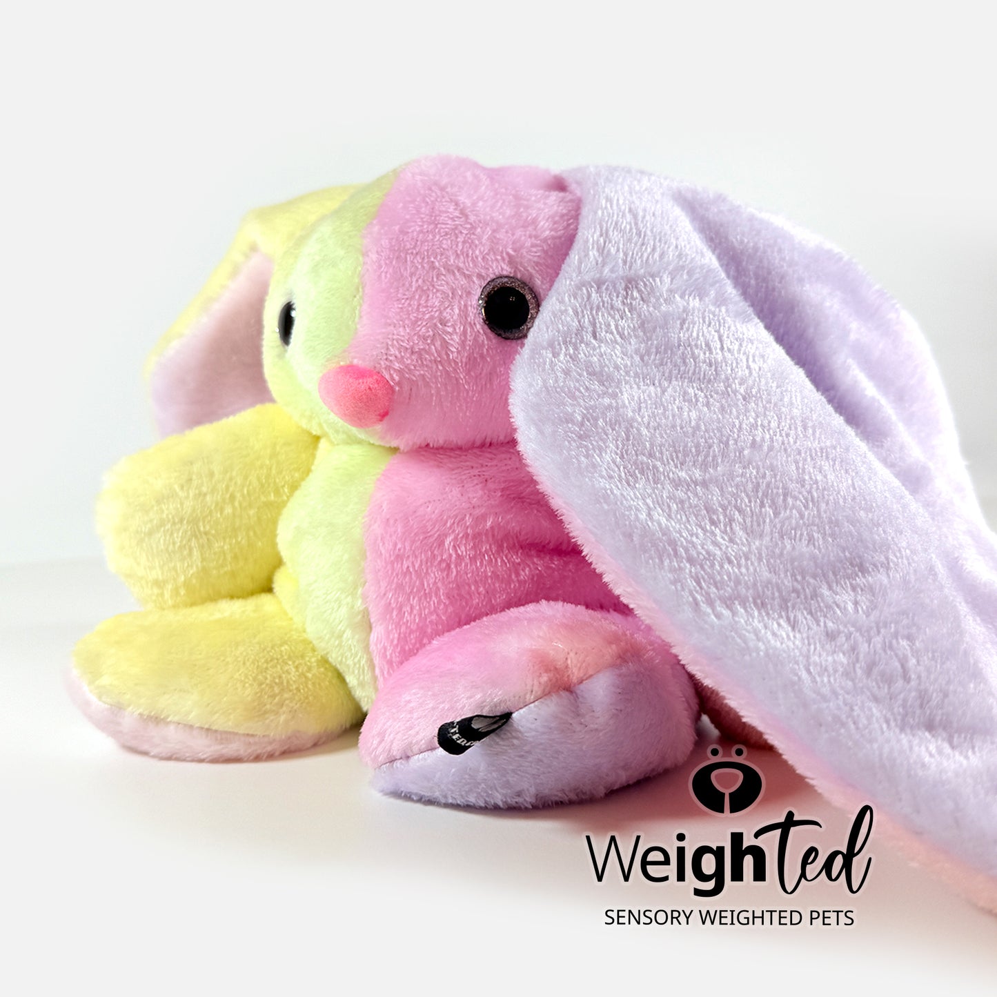 2kg Bunny Rabbit 'Floss'