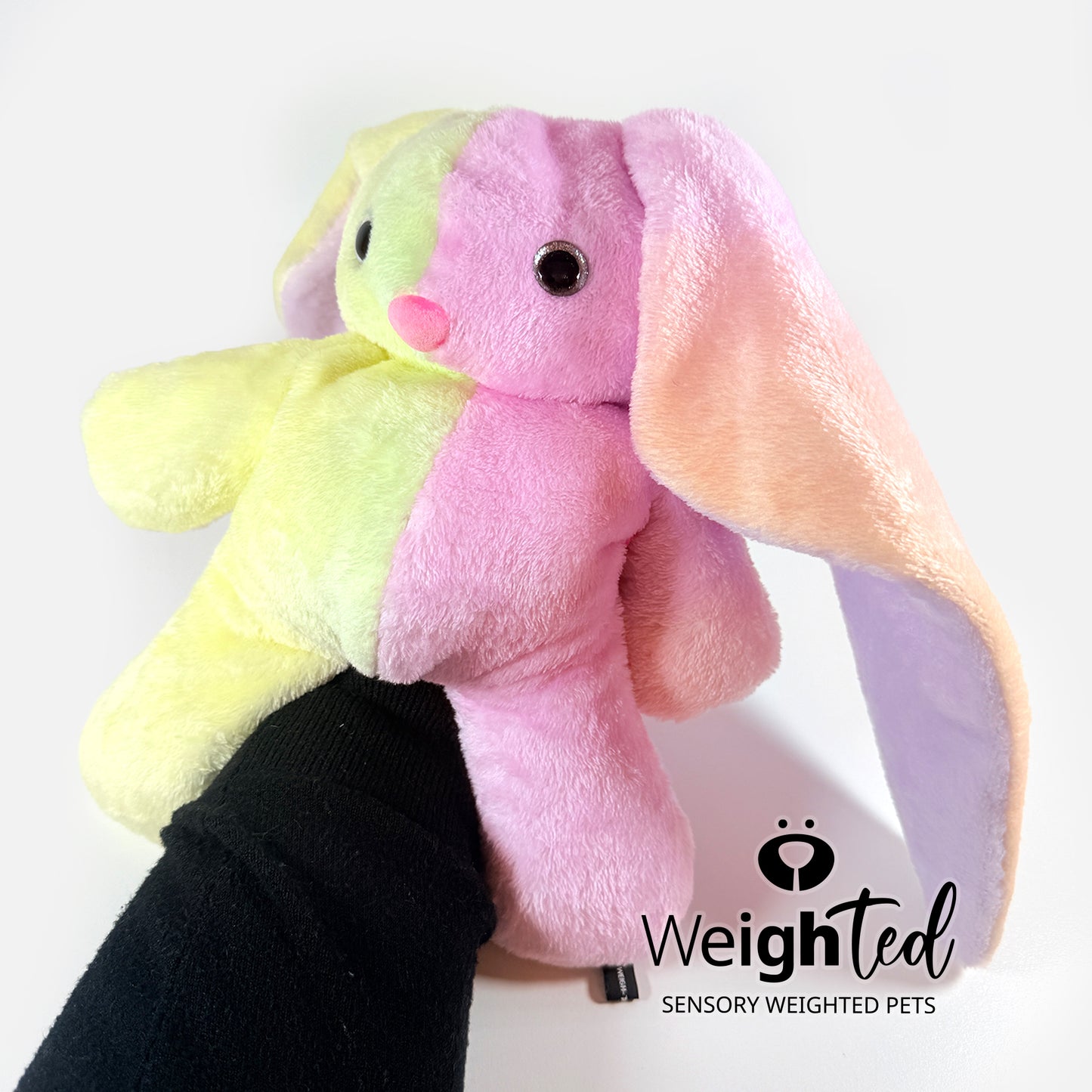 2kg Bunny Rabbit 'Floss'