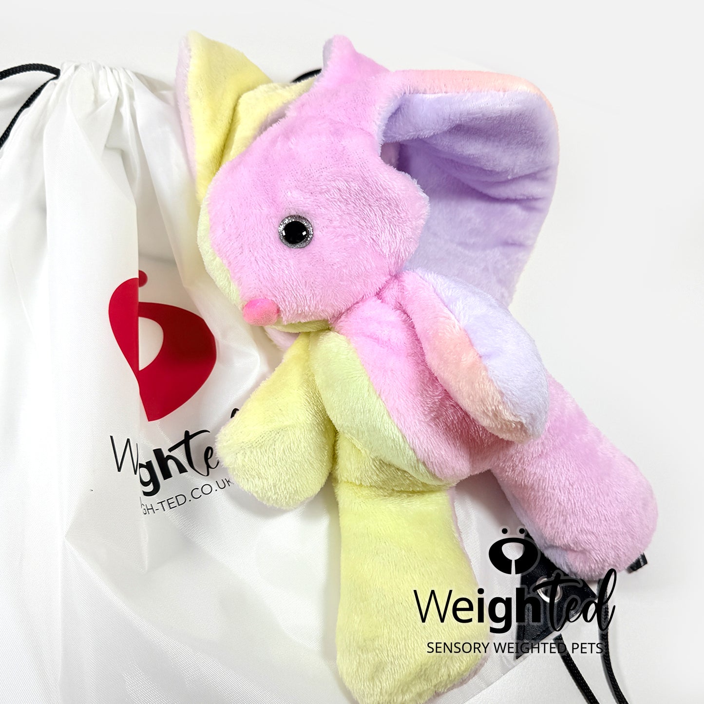 2kg Bunny Rabbit 'Floss'
