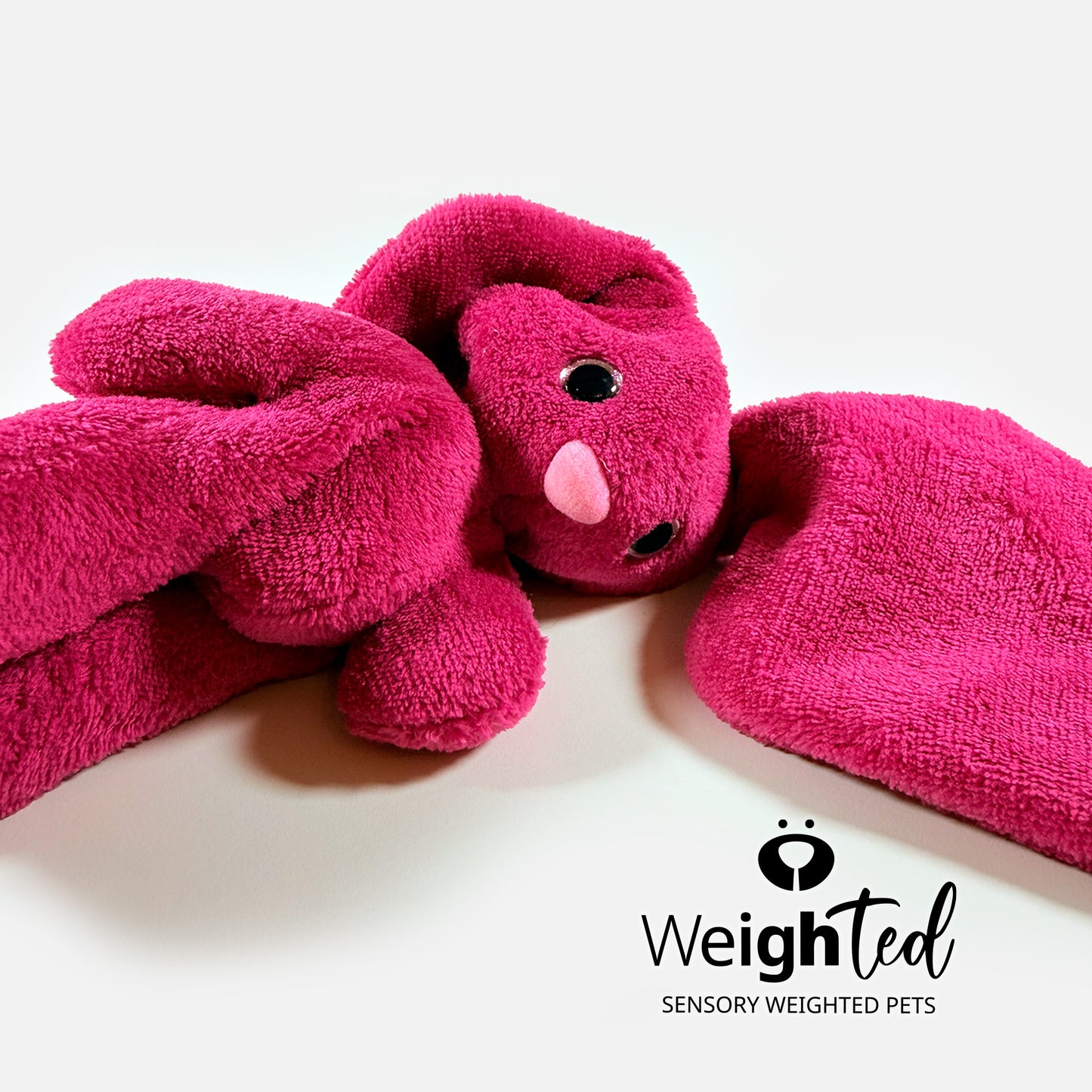 2kg Bunny Rabbit 'Fuchsia'