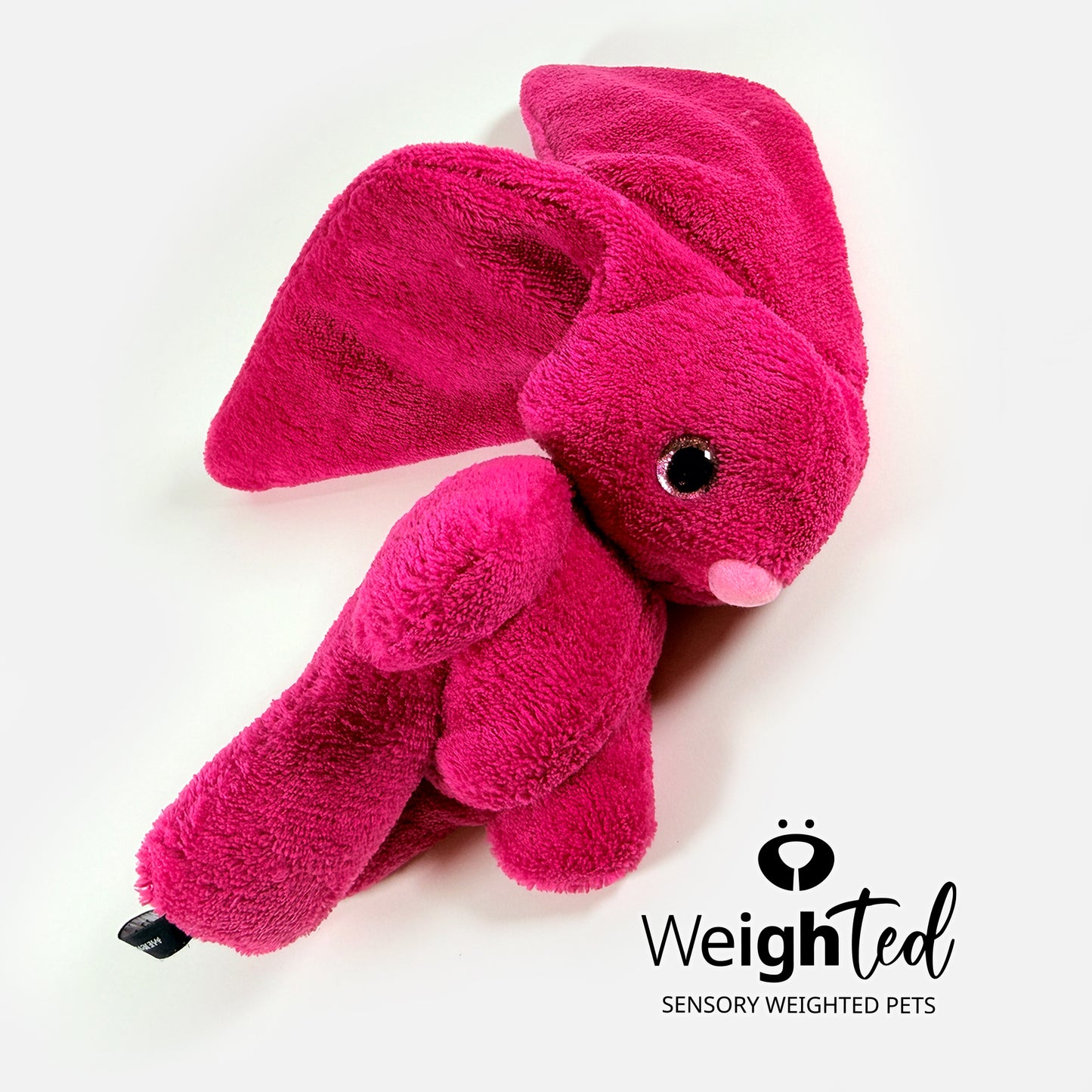 2kg Bunny Rabbit 'Fuchsia'