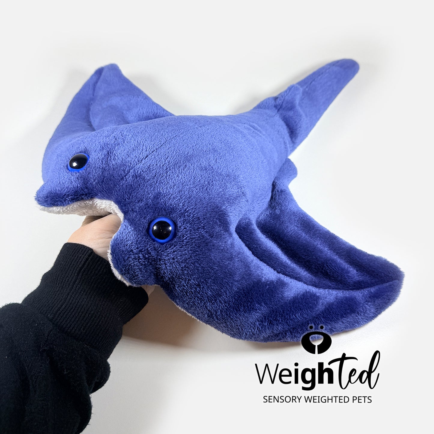 1.5kg Stingray 'Wyatt'