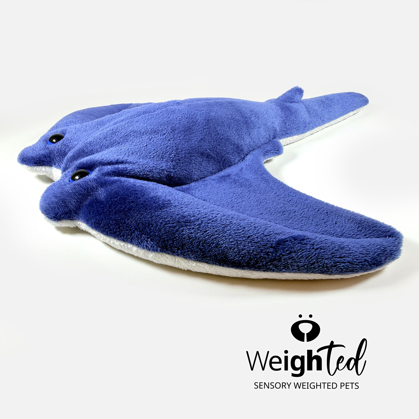 1.5kg Stingray 'Wyatt'