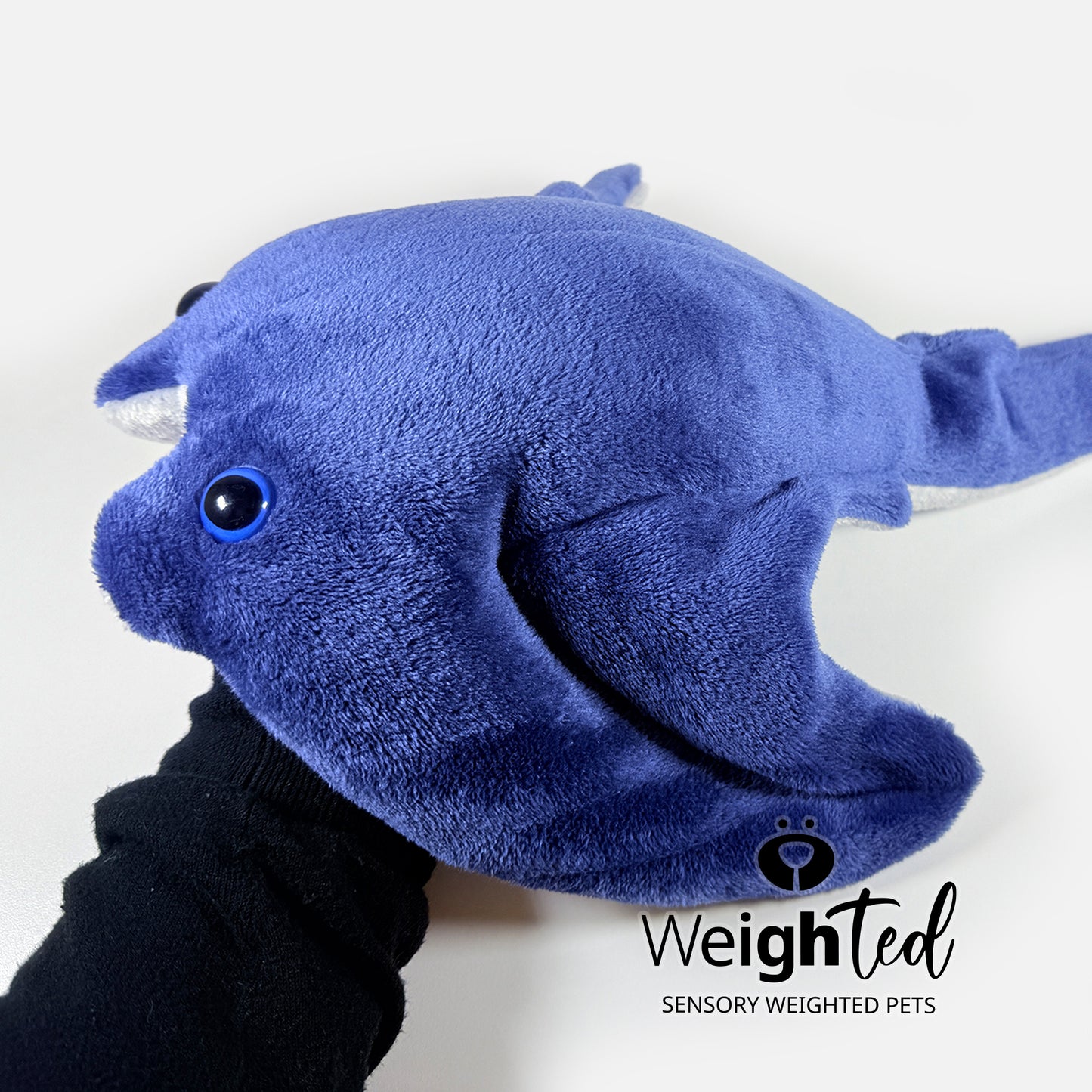 1.5kg Stingray 'Wyatt'