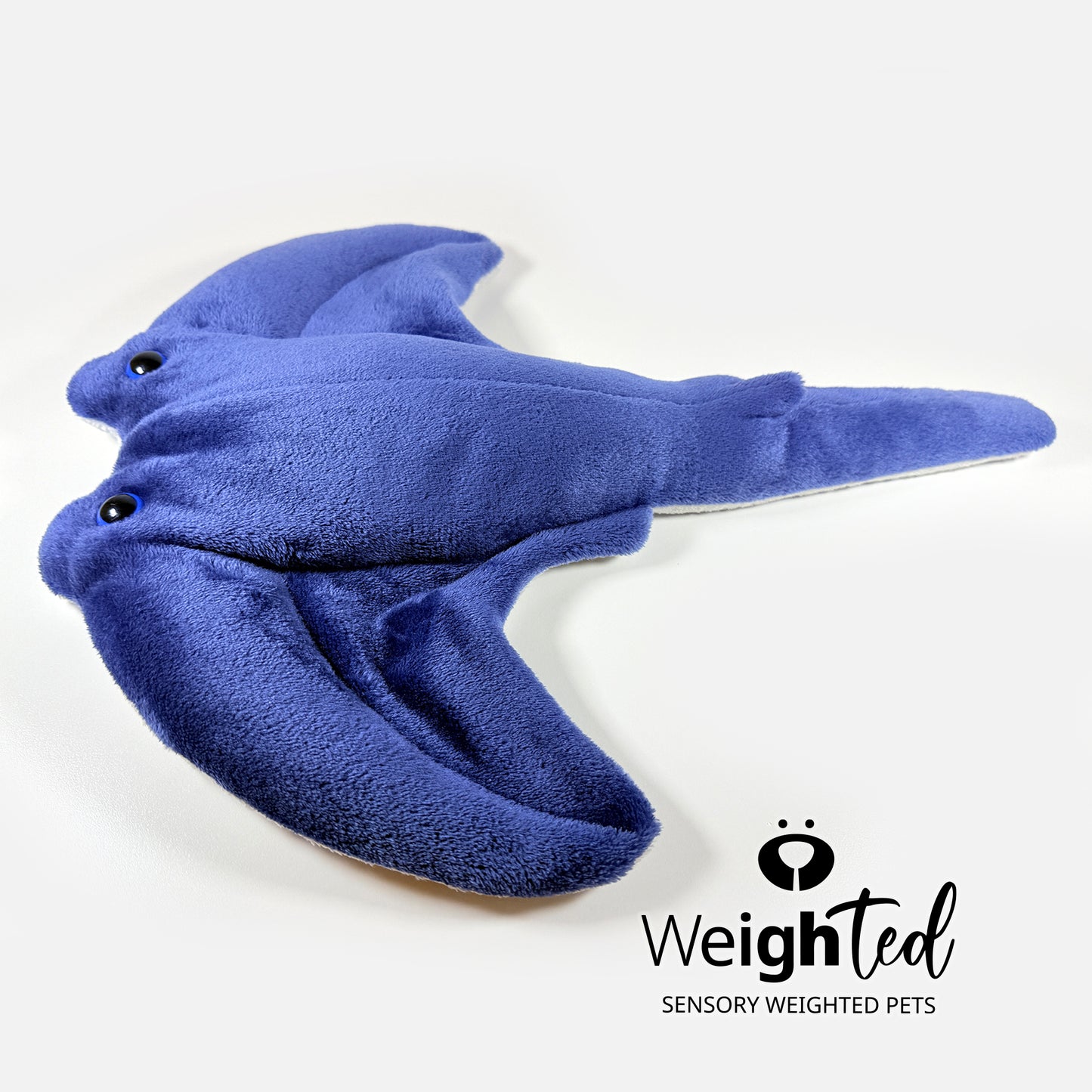 1.5kg Stingray 'Wyatt'