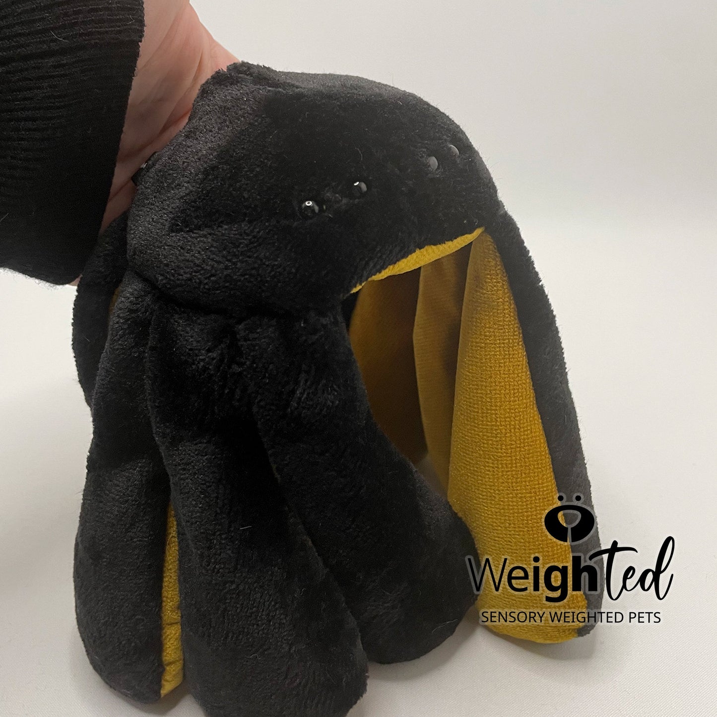 2.5kg Spider 'Silky'