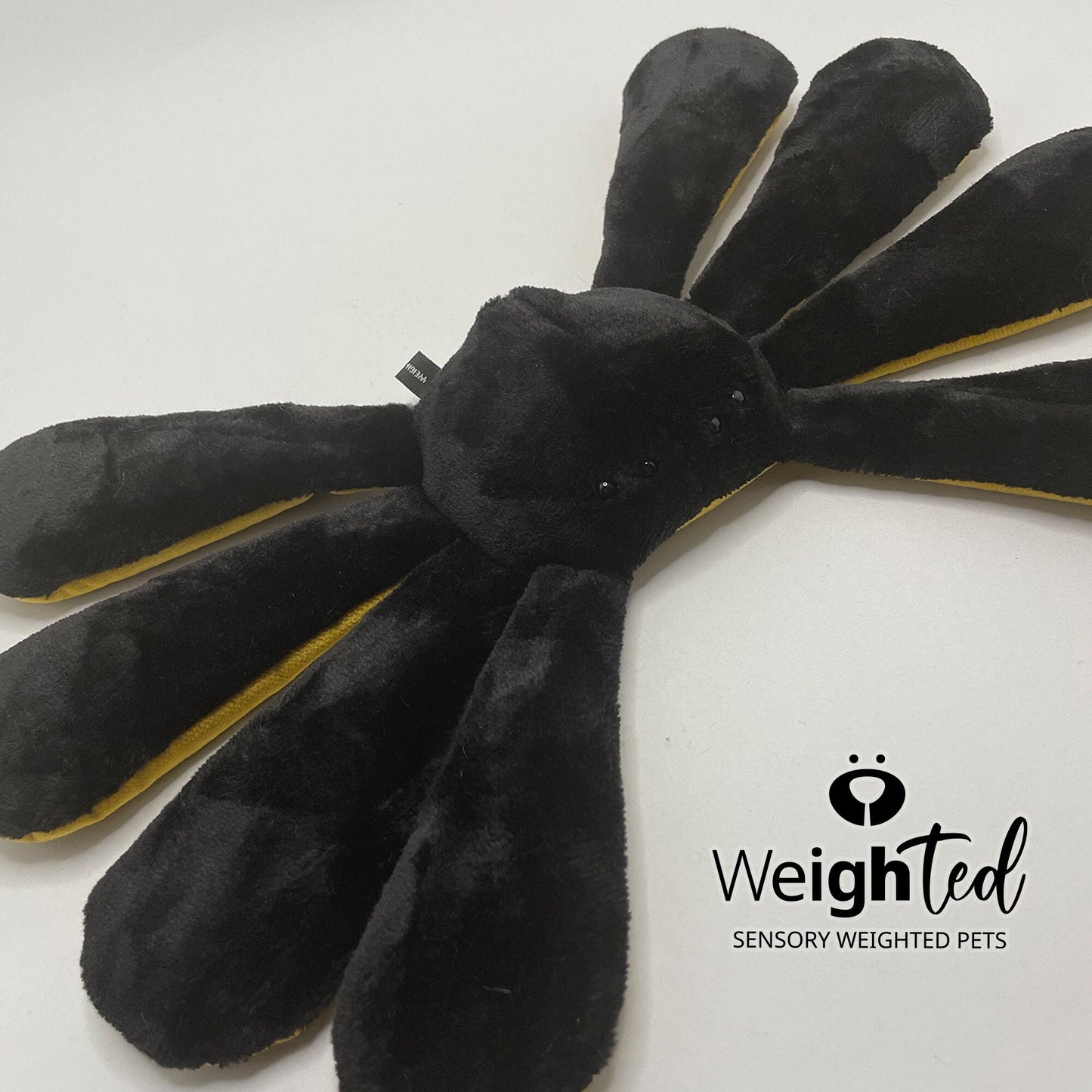 2.5kg Spider 'Silky'