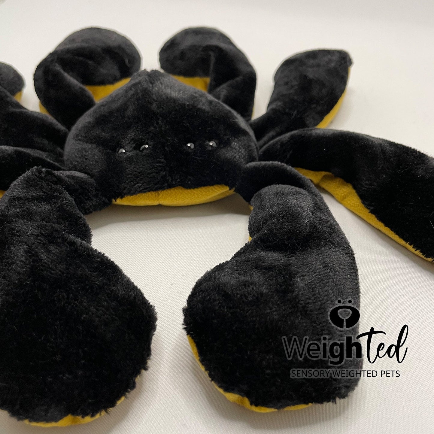 2.5kg Spider 'Silky'