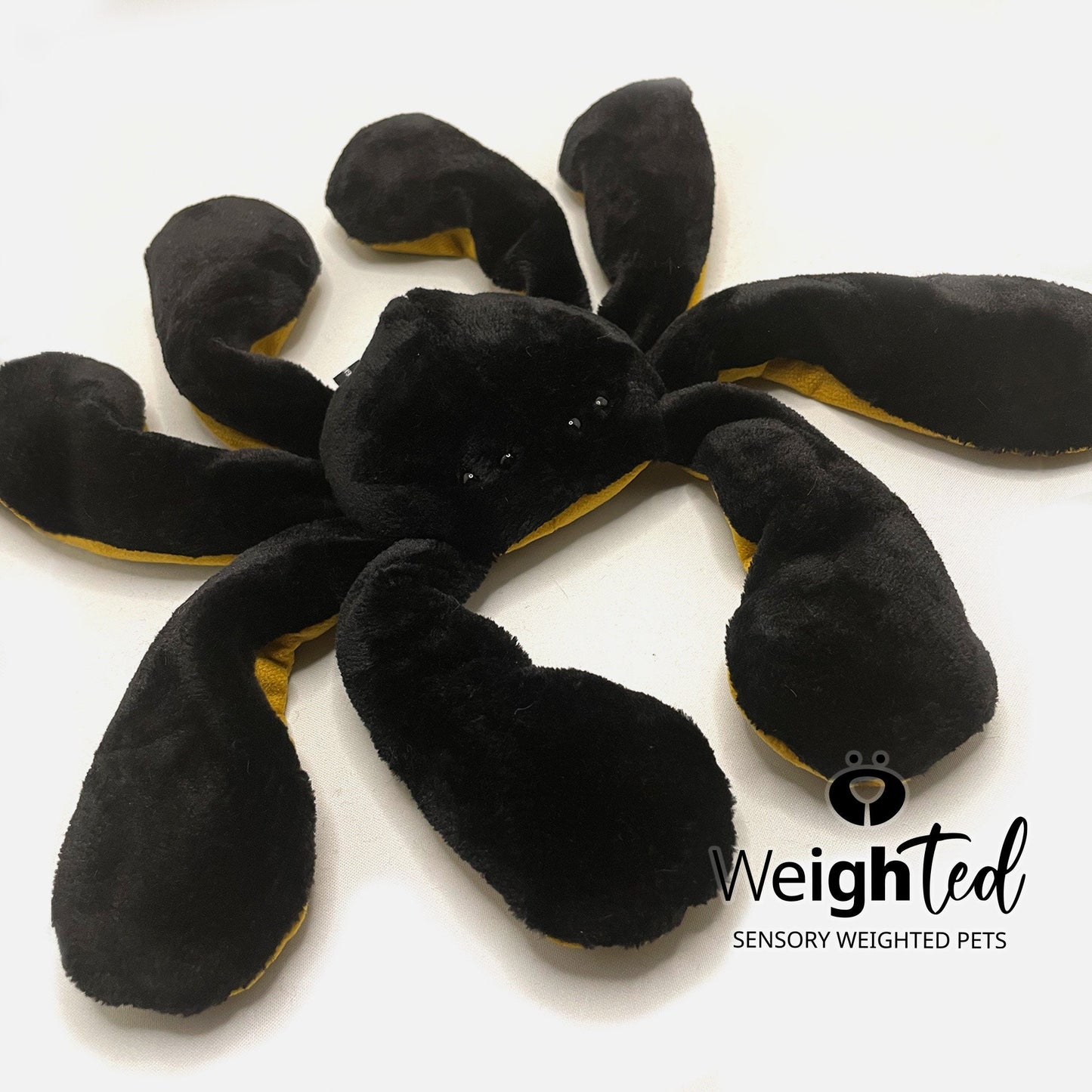 2.5kg Spider 'Silky'