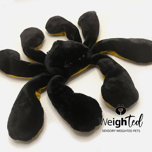 2.5kg Spider 'Silky'