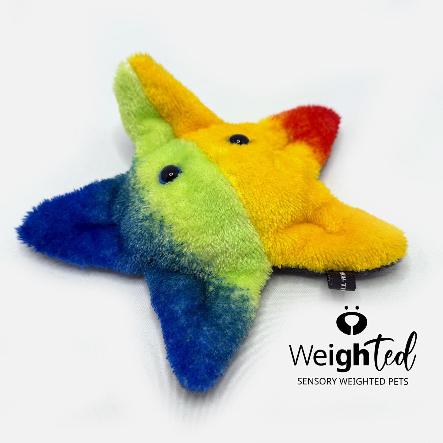 600g Pocket Starfish 'Star'