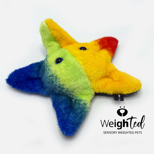 600g Pocket Starfish 'Star'