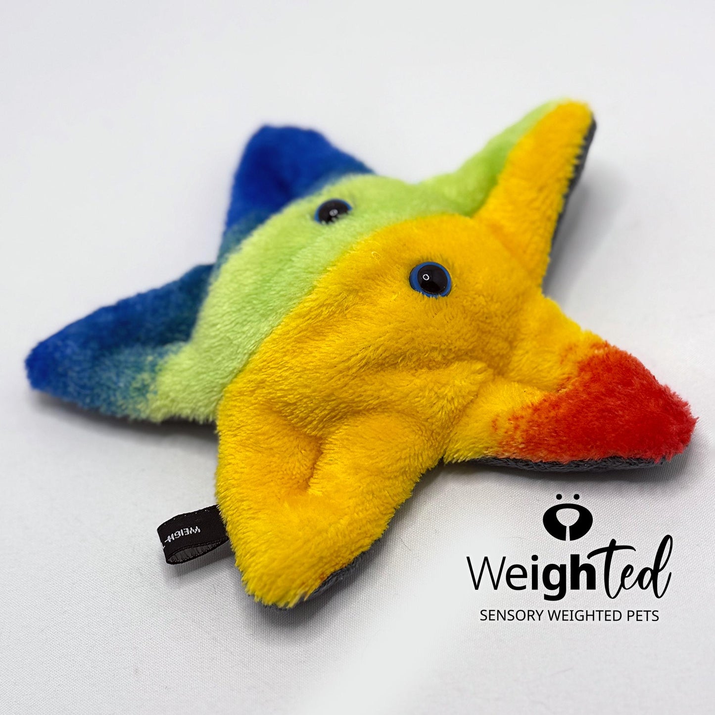 600g Pocket Starfish 'Star'