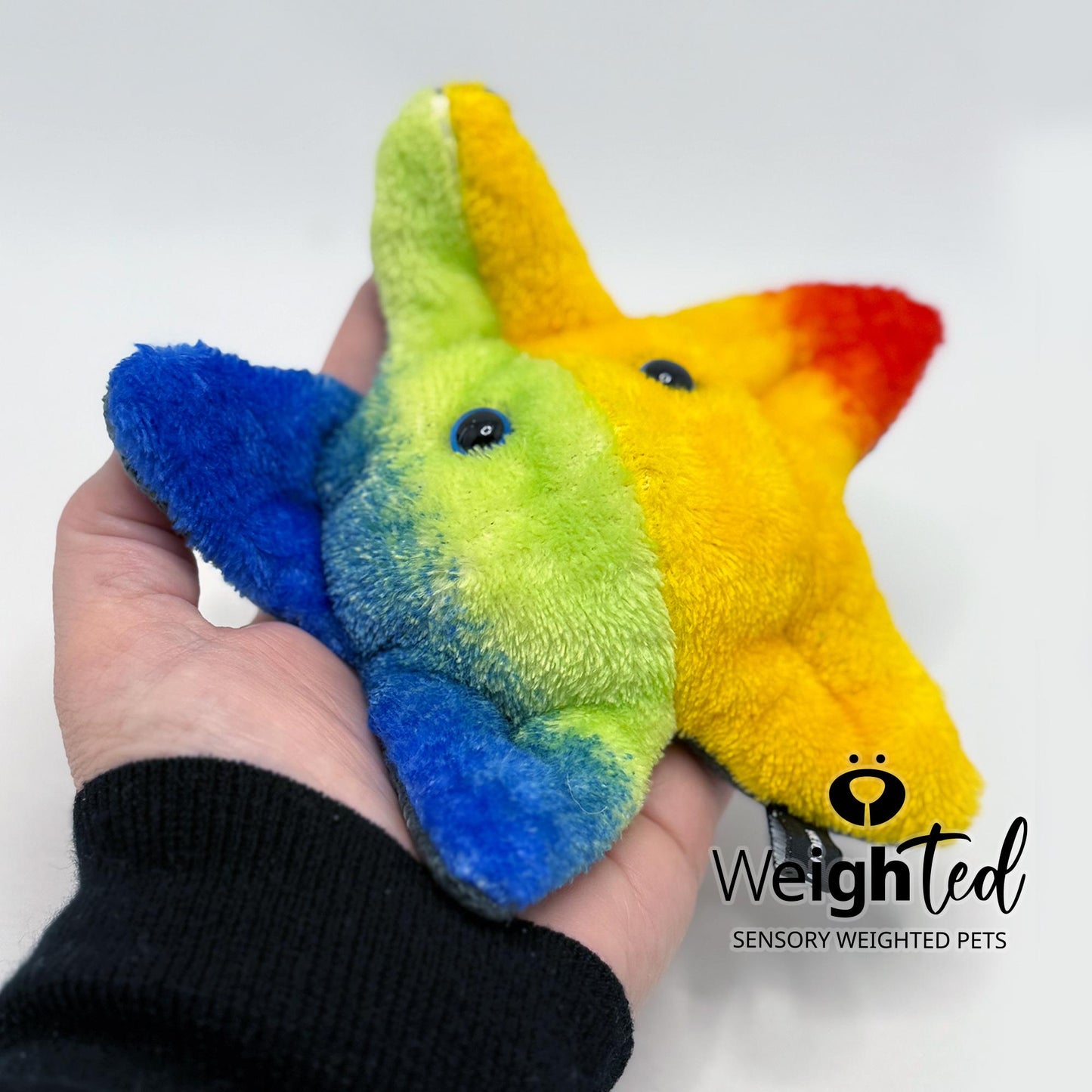 600g Pocket Starfish 'Star'