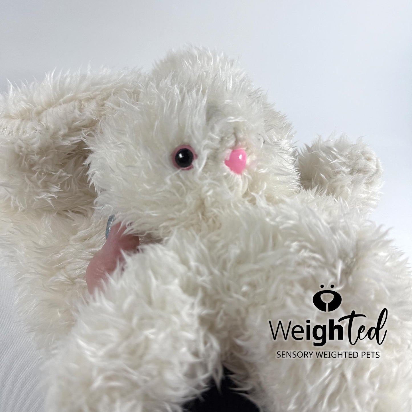 2.2kg Bunny Rabbit 'Ava' with Mini Pocket Heart