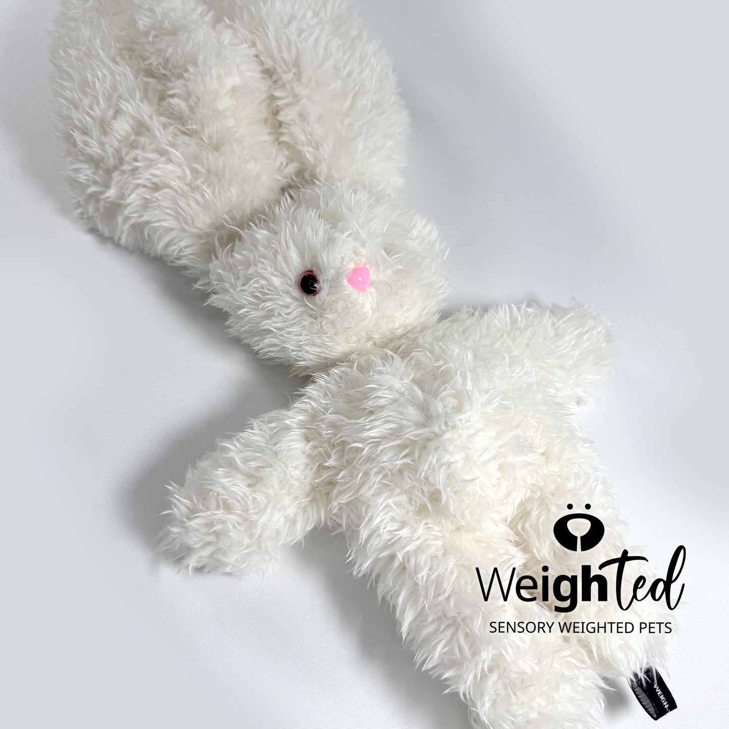 2.2kg Bunny Rabbit 'Ava' with Mini Pocket Heart