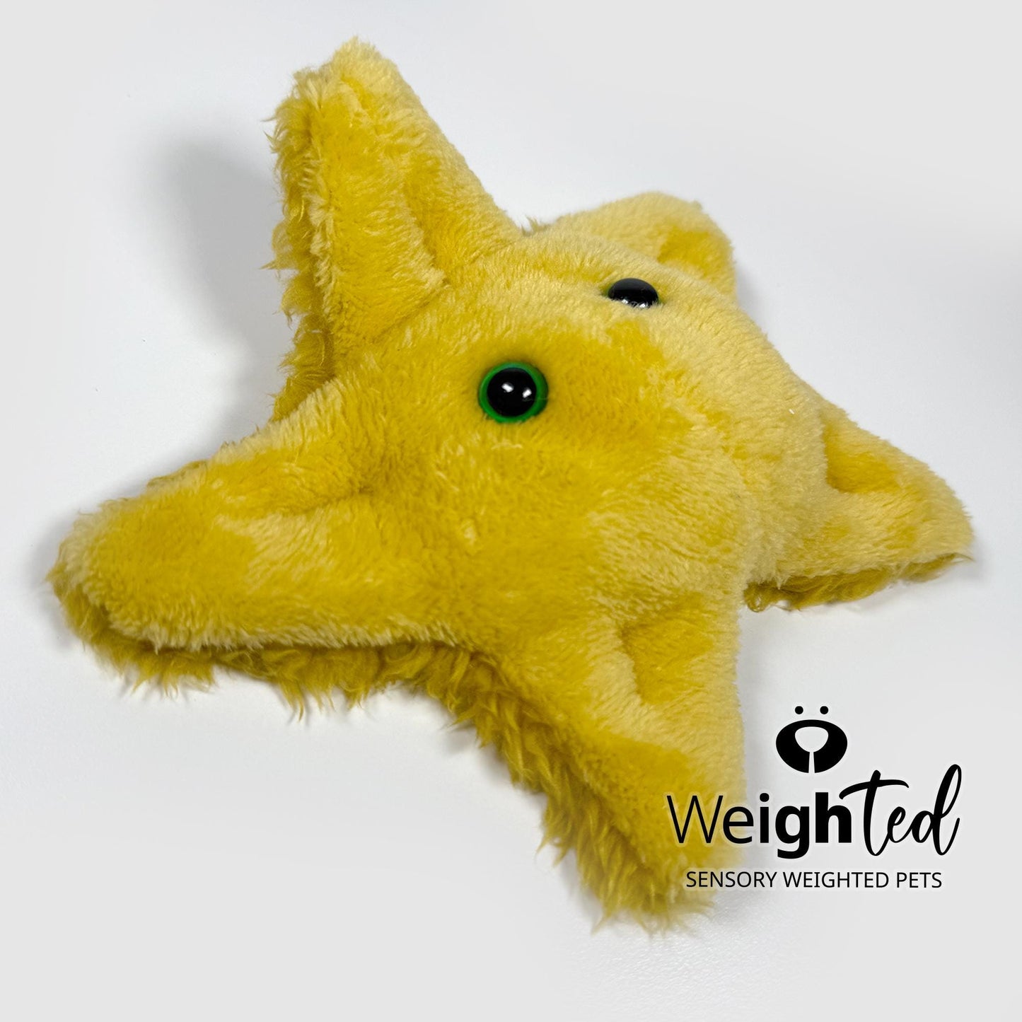 600g Pocket Starfish 'Amber'