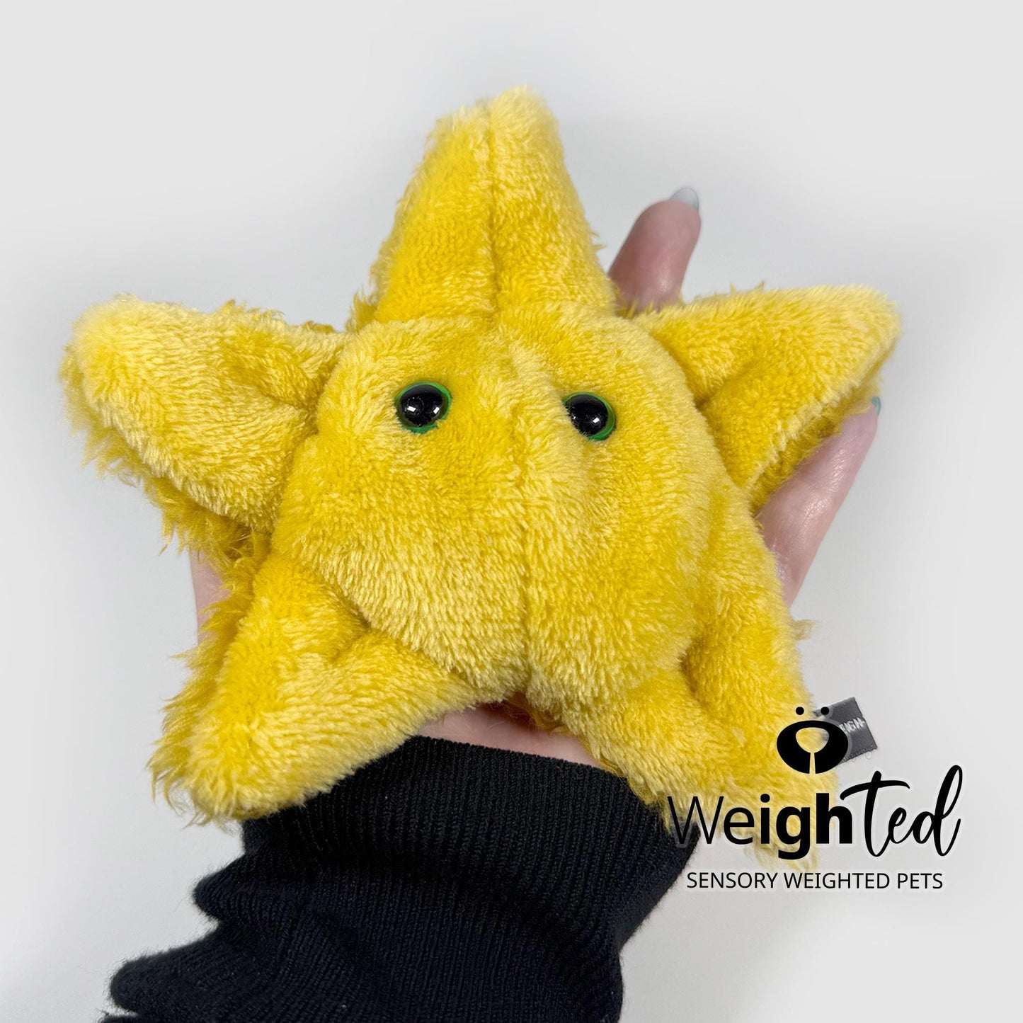 600g Pocket Starfish 'Amber'